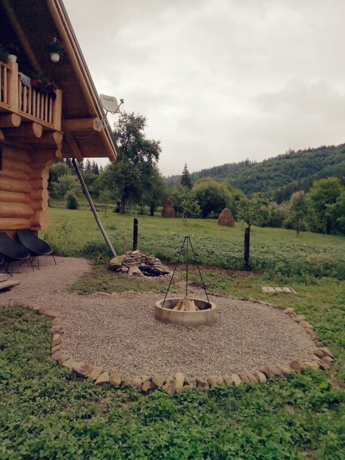 Дома для отпуска Cabana ALVI Ватра Молдовицей